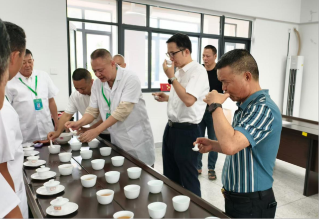 省人社厅驻饶平县纵向帮扶工作队队长、饶平县委副书记卓强(前排右二)现场品评饶北单丛茶。 省人社厅驻饶平县纵向帮扶工作队队长、饶平县委副书记卓强(前排右二)现场品评饶北单丛茶。
