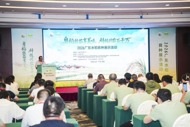 2026广东水稻良种展示活动现场