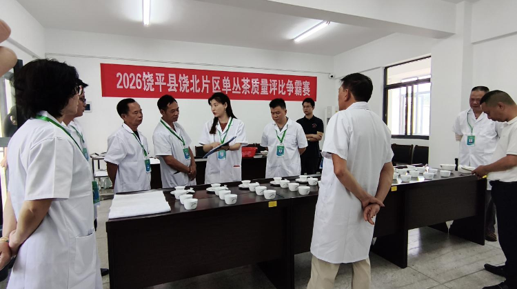 驻镇工作队“搭擂台”  饶平四镇茶农赛出“匠心茶”