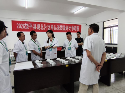 驻镇工作队“搭擂台”  饶平四镇茶农赛出“匠心茶”
