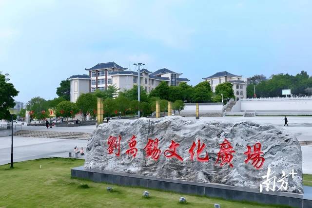 受访者供图