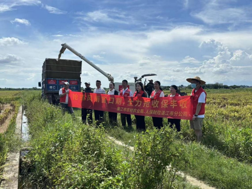 风雨中筑防线，沃野上写担当！人保财险广东省分公司全力做实农业风险减量