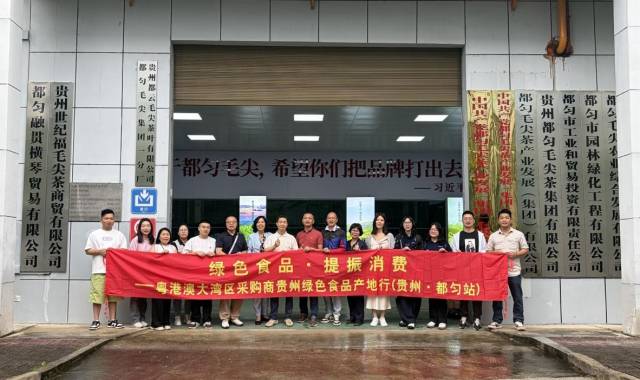 6月30日，粤港澳大湾区采购商产地行活动走进都匀毛尖茶企业。