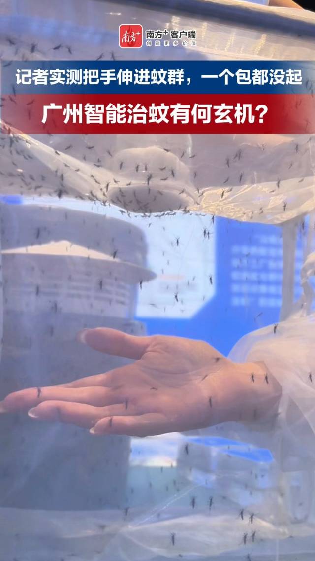 AI监测、智能设备上阵,广州探索智慧防蚊新模式
