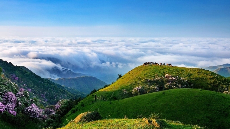 带薪休假、春秋假、县域旅游……“十五五”旅游规划出炉！