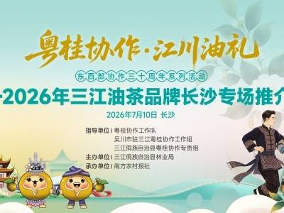 粤桂协作，江川“油”礼！三江油茶“湘”约长沙