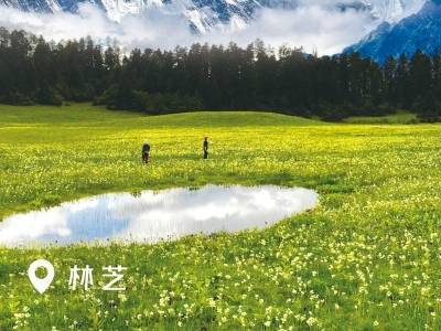 “趣林芝”，度周末！