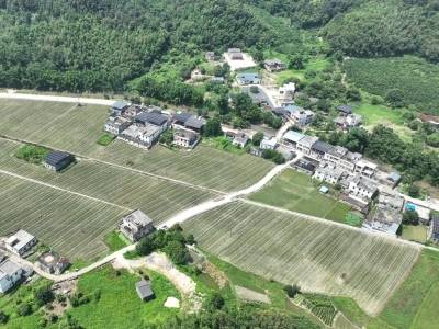山沟沟里种下“希望苗”！韶关高群村一根韭菜薹长出“三份收入”
