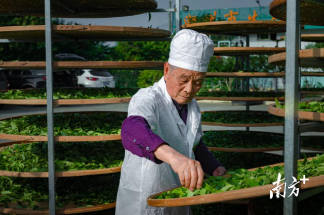 杨义和 摄 杨义和 摄