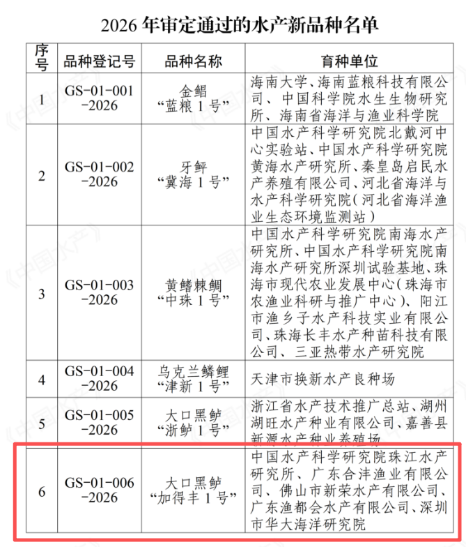 不显示图说 通讯员 荷宣 供图