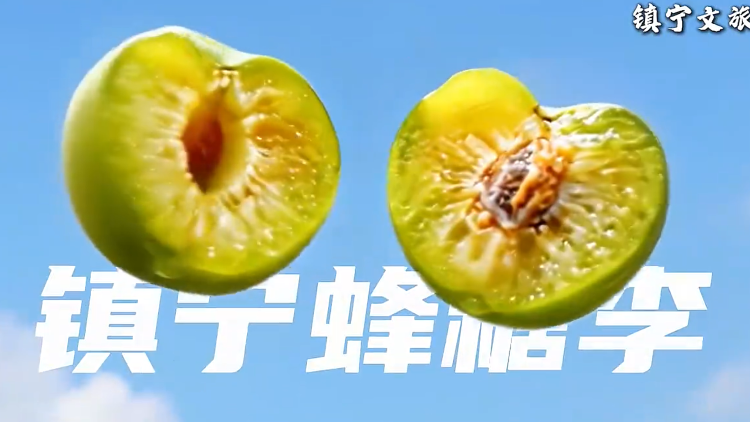 爷爷种的镇宁蜂糖李熟了