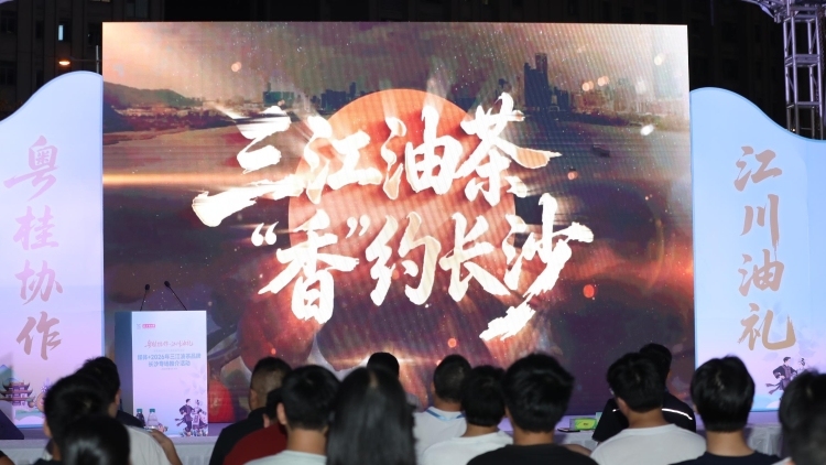 三江茶油“湘”万家！粤桂协作助力侗乡特产走进长沙