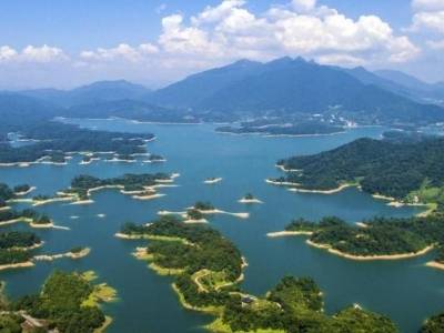 广州从化：46万尾鱼苗“安家”流溪河，生态治水绘就绿美画卷