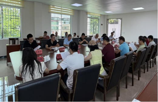 农文旅融合赋能连平县大湖镇高质量发展座谈会 农文旅融合赋能连平县大湖镇高质量发展座谈会