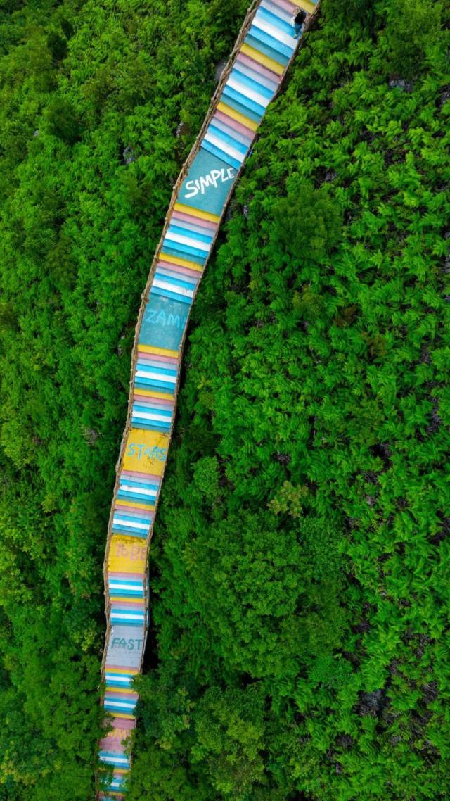 △大石围天坑东峰彩虹步道。图/百色市文化广电体育和旅游局 △大石围天坑东峰彩虹步道。图/百色市文化广电体育和旅游局