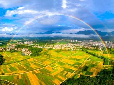 寸土寸金之地，广州农业何以生长？
