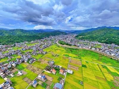 兴宁市黄陂镇：油茶之乡的“新面子”与“实里子”