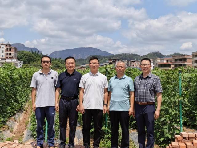 杨国亨(左三)带领驻大柘镇帮镇扶村工作队队员在西河村豇豆种植基地调研。 杨国亨(左三)带领驻大柘镇帮镇扶村工作队队员在西河村豇豆种植基地调研。