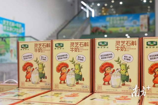 灵芝石斛牛奶。