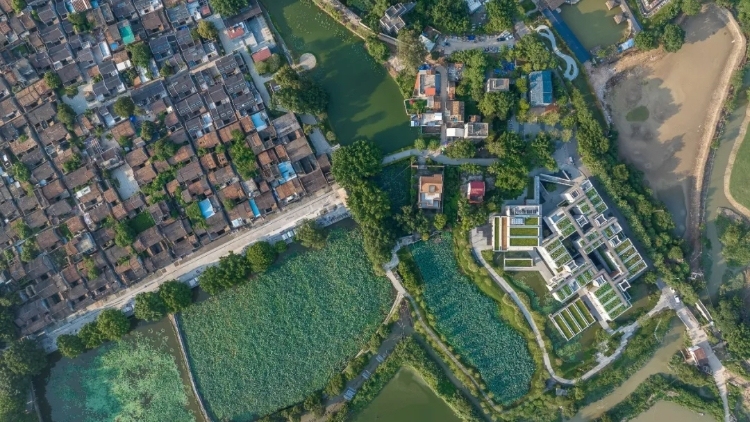 2026年文明乡风建设十大案例发布，广州花都塱头村入选！