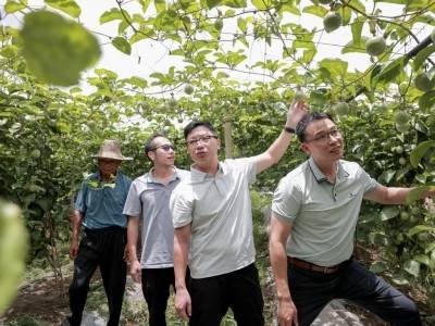 平远小山村集体收入突破270万元，“躺平青年”变“土专家”丨驻在千镇万村㊱