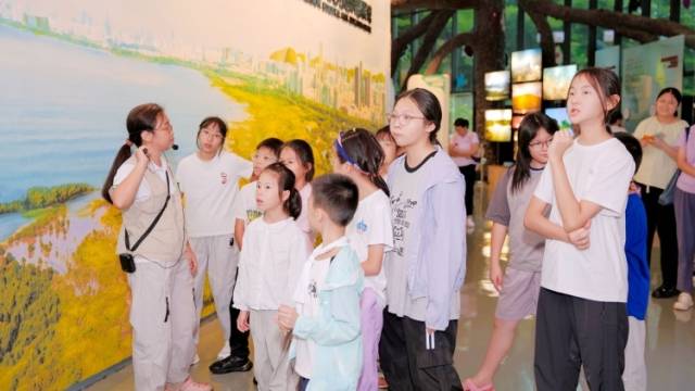 把课堂搬进红树林！2026年粤港澳自然教育季在深圳启动