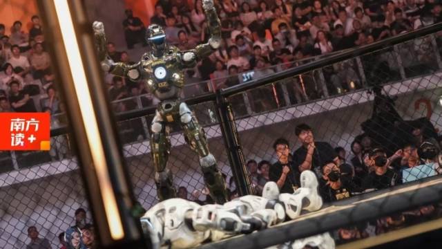 争夺千万金腰带，机器人为何学“打架”？