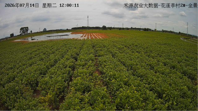 农业大数据系统实时监控画面 农业大数据系统实时监控画面