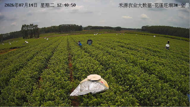 监控画面 监控画面