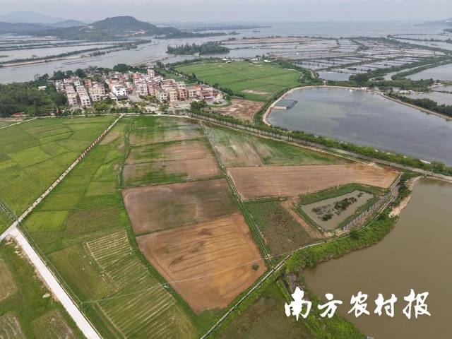 改造后的沃野良田。