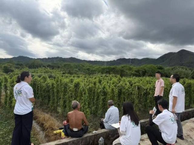 师生们深入乡村走访，了解乡村发展故事。