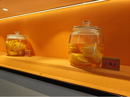 多样佛手品种 多样佛手品种