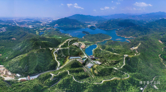 位于湘桥区的广东省佛手果文旅生态园 位于湘桥区的广东省佛手果文旅生态园