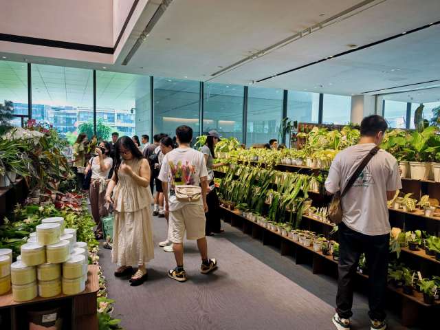 游客选购心仪的绿植。 游客选购心仪的绿植。