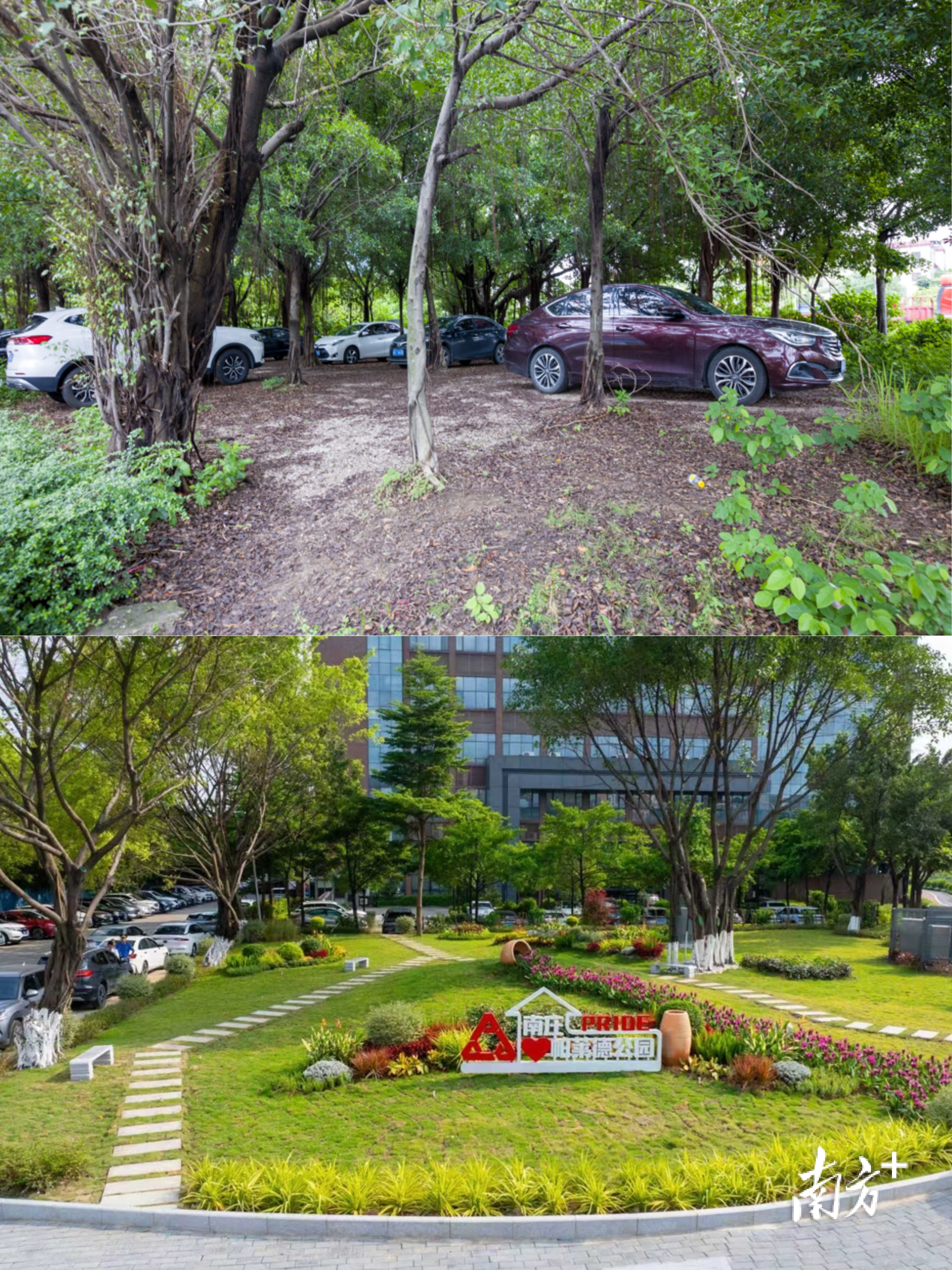 图说:曾经脏乱差的闲置地,变为整洁靓丽的街角公园。 佛山市城管局供图 图说:曾经脏乱差的闲置地,变为整洁靓丽的街角公园。 佛山市城管局供图