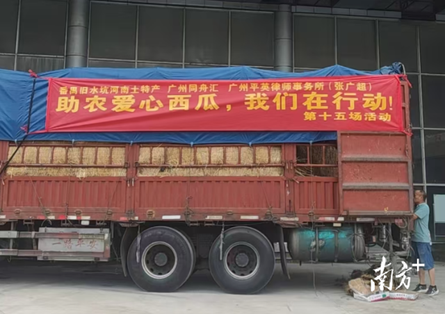 一场由在穗生活的河南老乡发起的助农爱心接力正在进行。 一场由在穗生活的河南老乡发起的助农爱心接力正在进行。