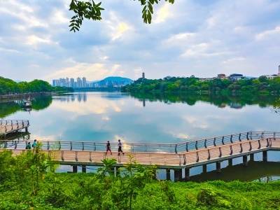 广州增城都市农业调研报告发布：读懂超大城市的兴农逻辑