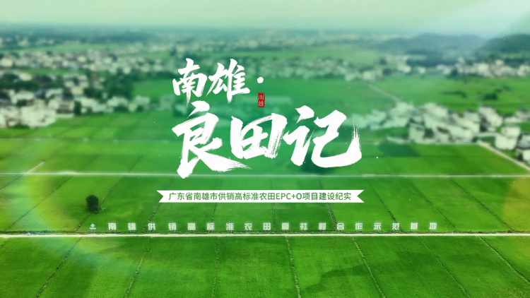 南雄良田记——中建三局广东省南雄市供销高标准农田EPC+O项目建设纪实