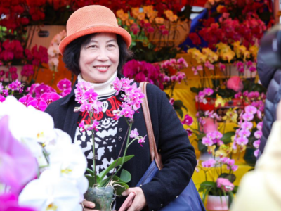 花城叠翠色 古韵绽新萼 | 广州种业 澎湃向前④