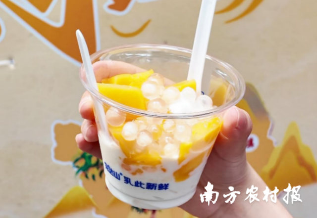 芒果牛乳冰淇淋