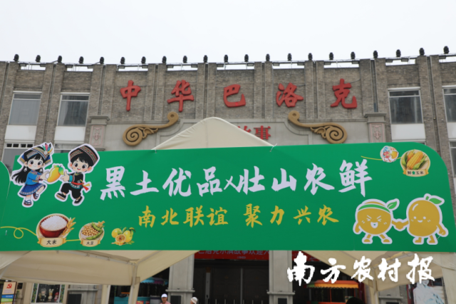 百色市田阳区2026年“壮山农鲜”南北联谊农特产品推介会现场。