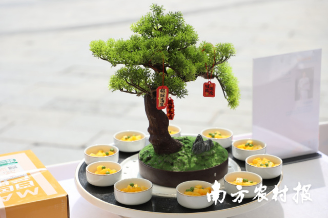 芒果滋味肉