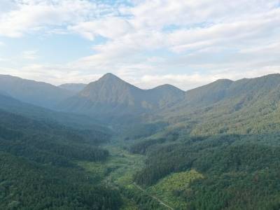 从岳山到湾区：肇庆的绿色接力与实干答卷