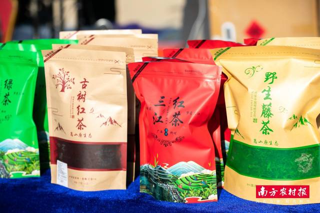三江茶