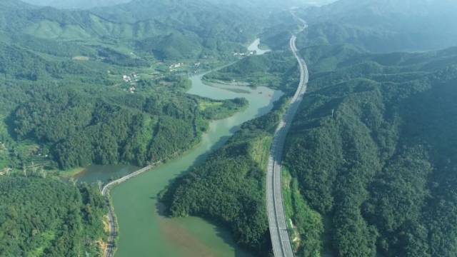 韶关市国有河口林场：打造森林质量精准提升和可持续经营新范式