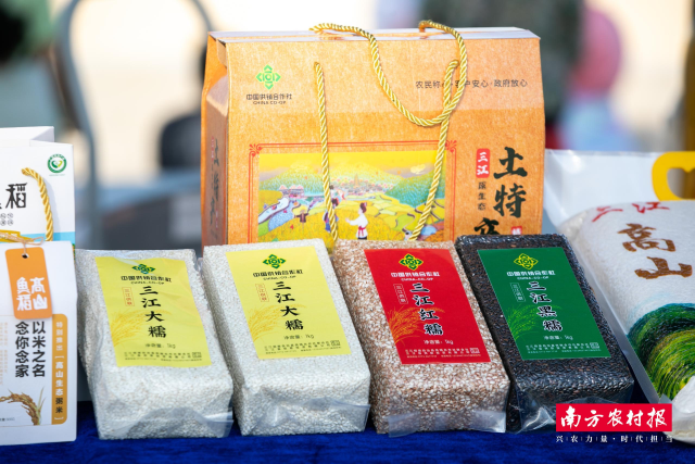 三江大糯。 三江大糯。