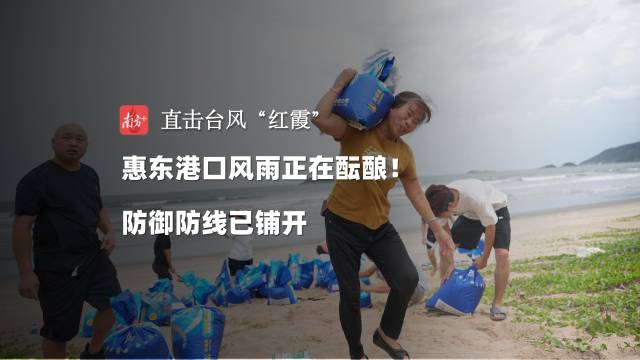 15时,惠东港口风雨正在酝酿,防御战线已铺开 | 直击台风“红霞”