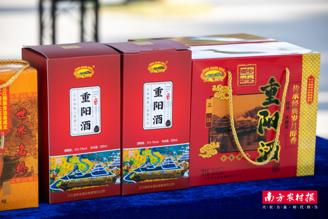三江重阳酒。 三江重阳酒。