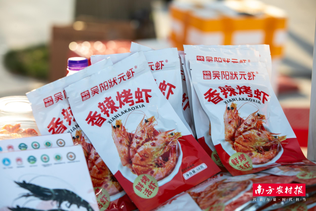 吴阳状元虾。 吴阳状元虾。