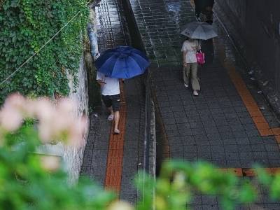 广州11区升级至台风蓝色预警，今夜起风雨趋明显